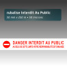 Rubalise plastique "danger interdit au public+ sens interdit" 50mm*250m