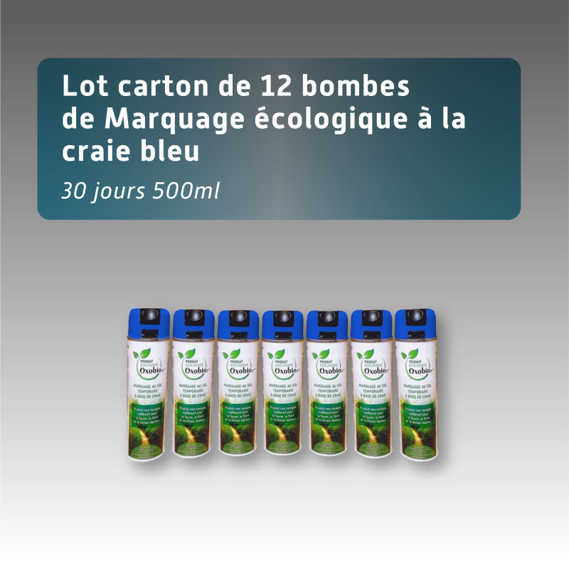 Lot 12 bombes écologiques à la craie