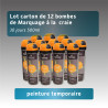 Lot 12 bombes de marquage - Temporaire 30 jours 7 couleurs - couleur unique