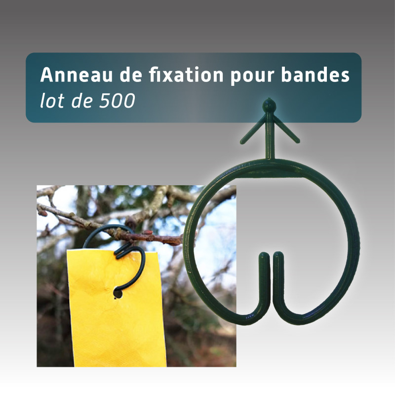 Anneau pour rubalise réutilisable - lot de 500