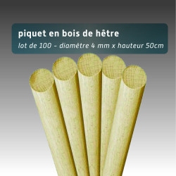 Piquet en bois de hêtre 50cm - lot 300