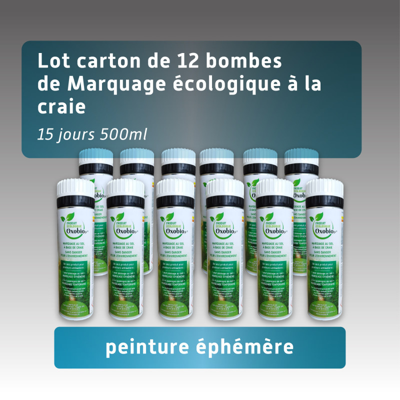 Lot 12 bombes de peinture éphémère écologique à la craie FLUO - couleur unique Lot 12 bombes de peinture éphémère écologique à la craie FLUO - couleur unique