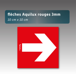 Flèche akilux  10cm*10cm - 3 couleurs disponibles