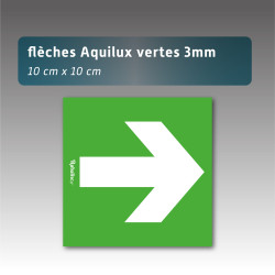 Flèche akilux  10cm*10cm - 3 couleurs disponibles