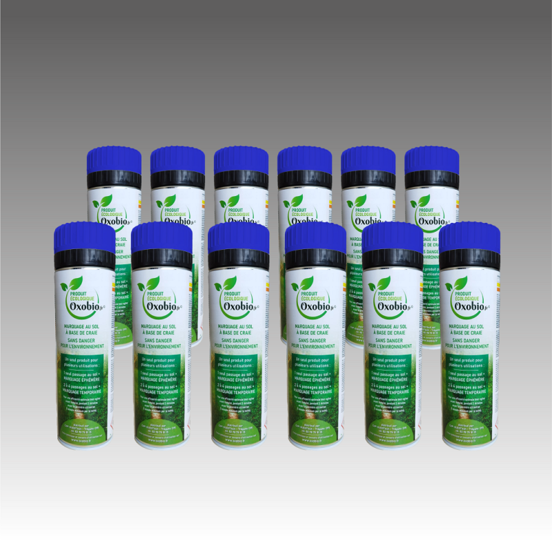 Lot de 12 bombes éphémères écologiques à la craie pour marquage au sol couleur unique