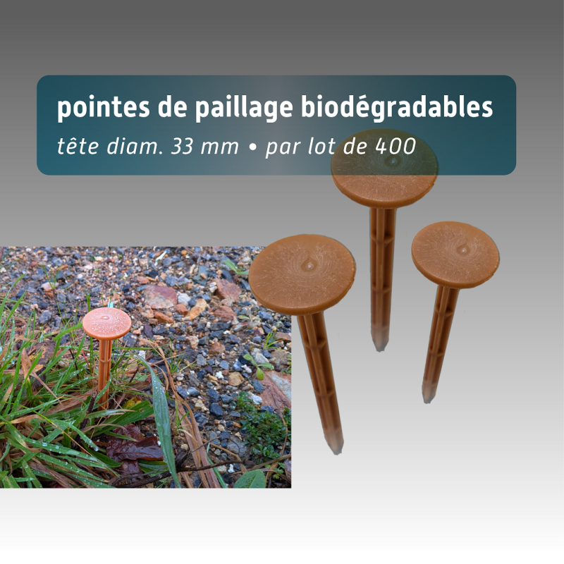 Pointes de paillage végétales Amidopic | 100% biodégradables