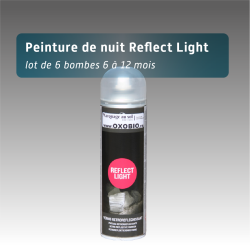 Bombe de peinture réfléchissante de nuit | Marquage au sol nuit
