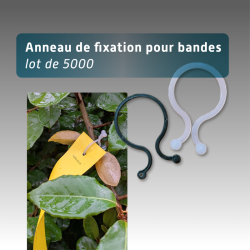 Anneau pour bande de rubalise réutilisable - lot de 5000