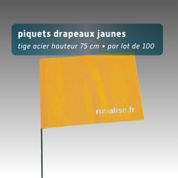 Lot de 100 piquets drapeaux 75cm - 4 coloris