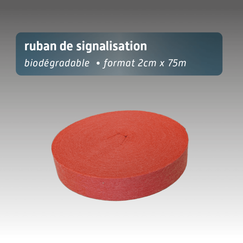 Ruban biodégradable fibre de bois 2 cm x 75 m | 6 couleurs