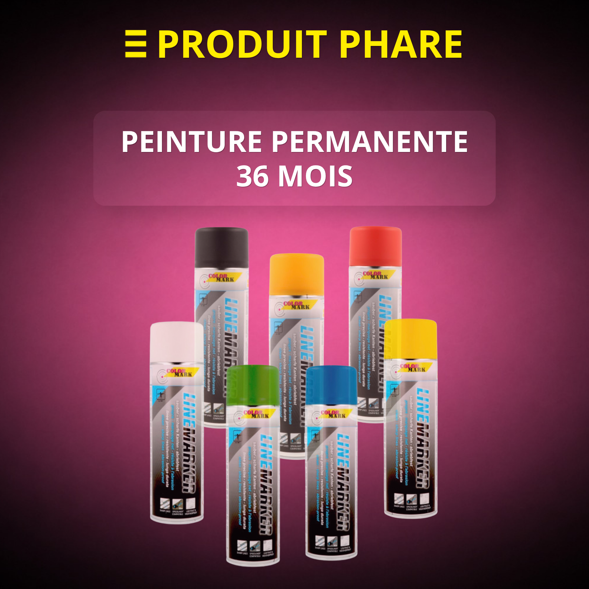 PEINTURE PERMANENTE