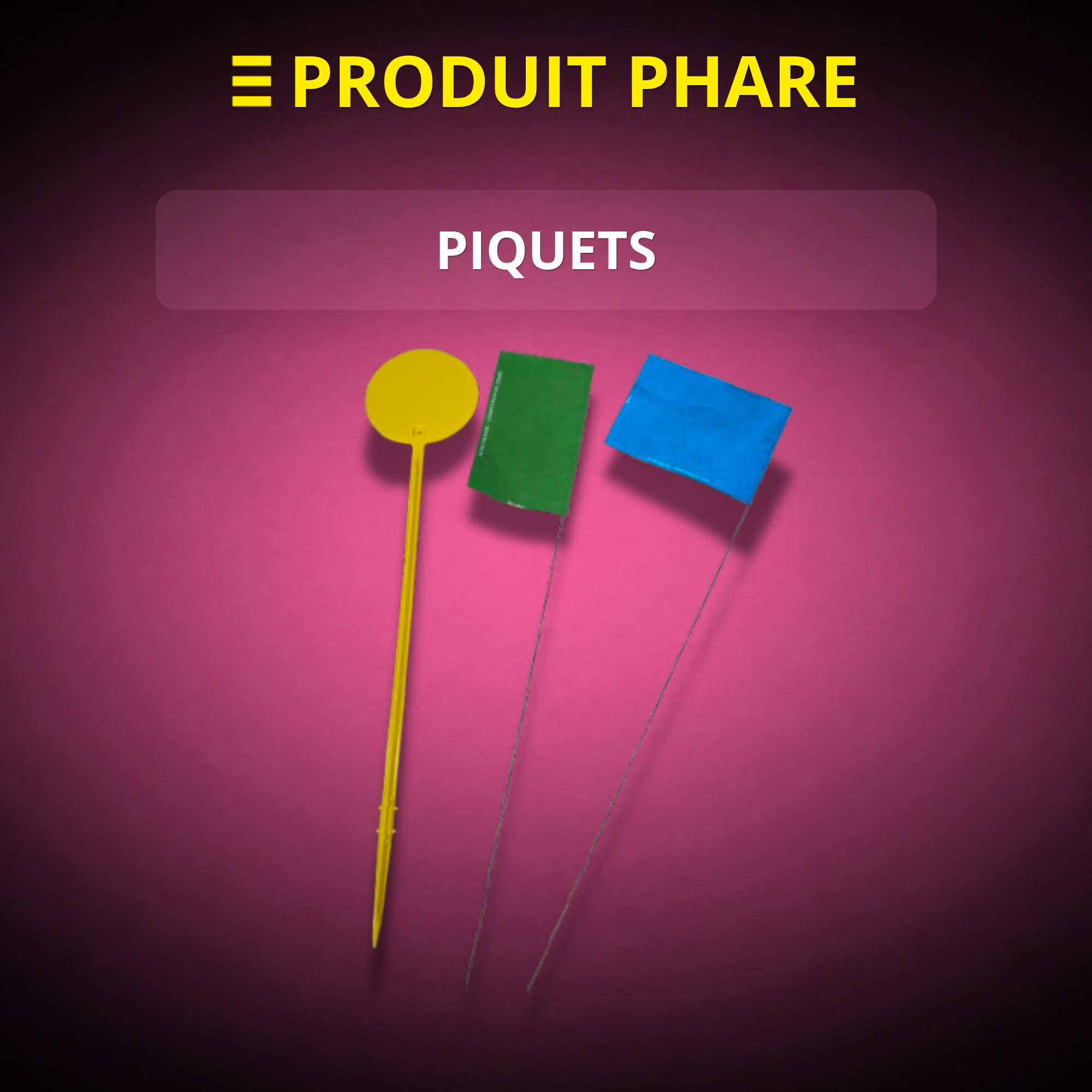 PIQUETS