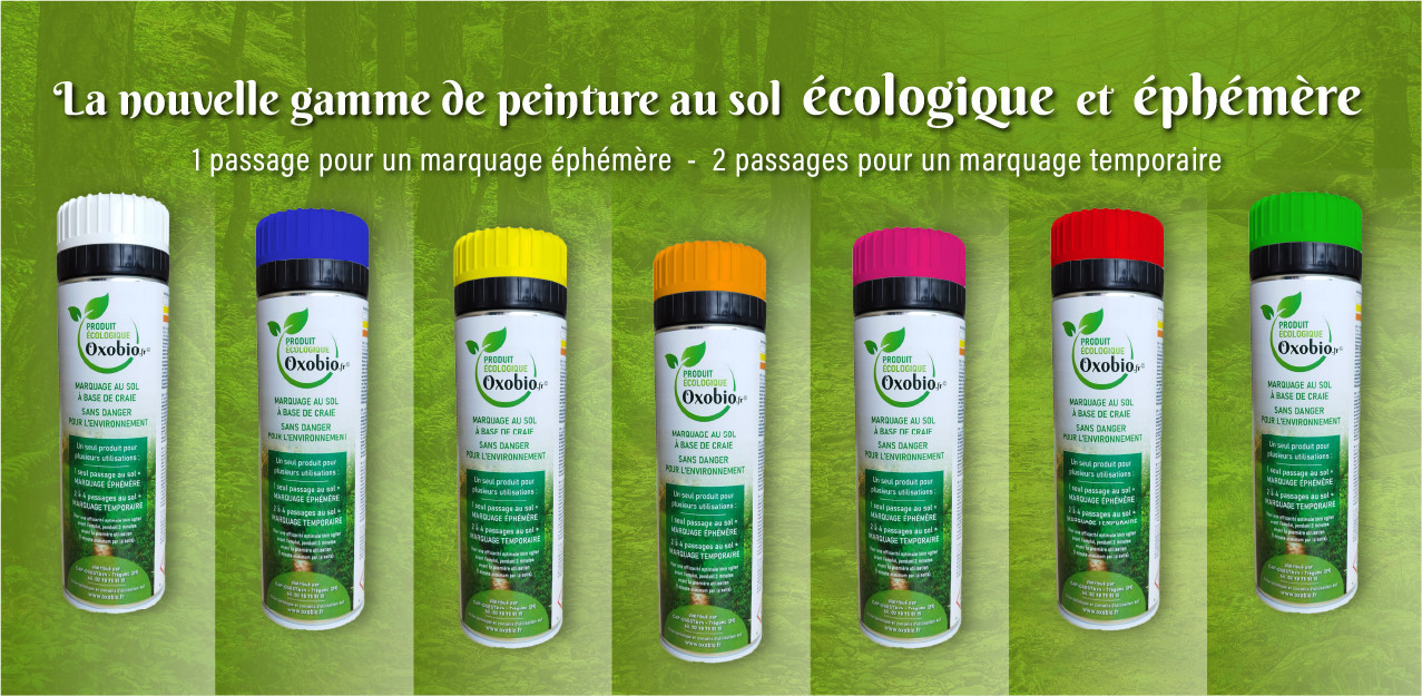 Peinture temporaire à la craie