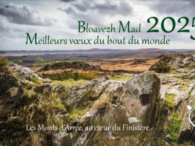 Bonne année 2025